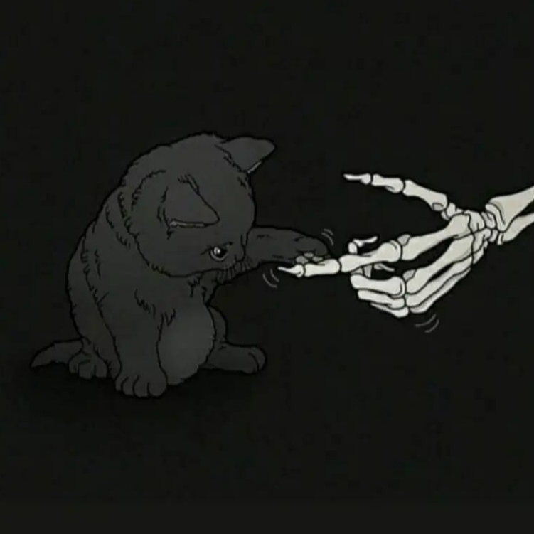 جیدال و عرفان حالا نه